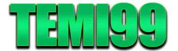 Logo TEMI99